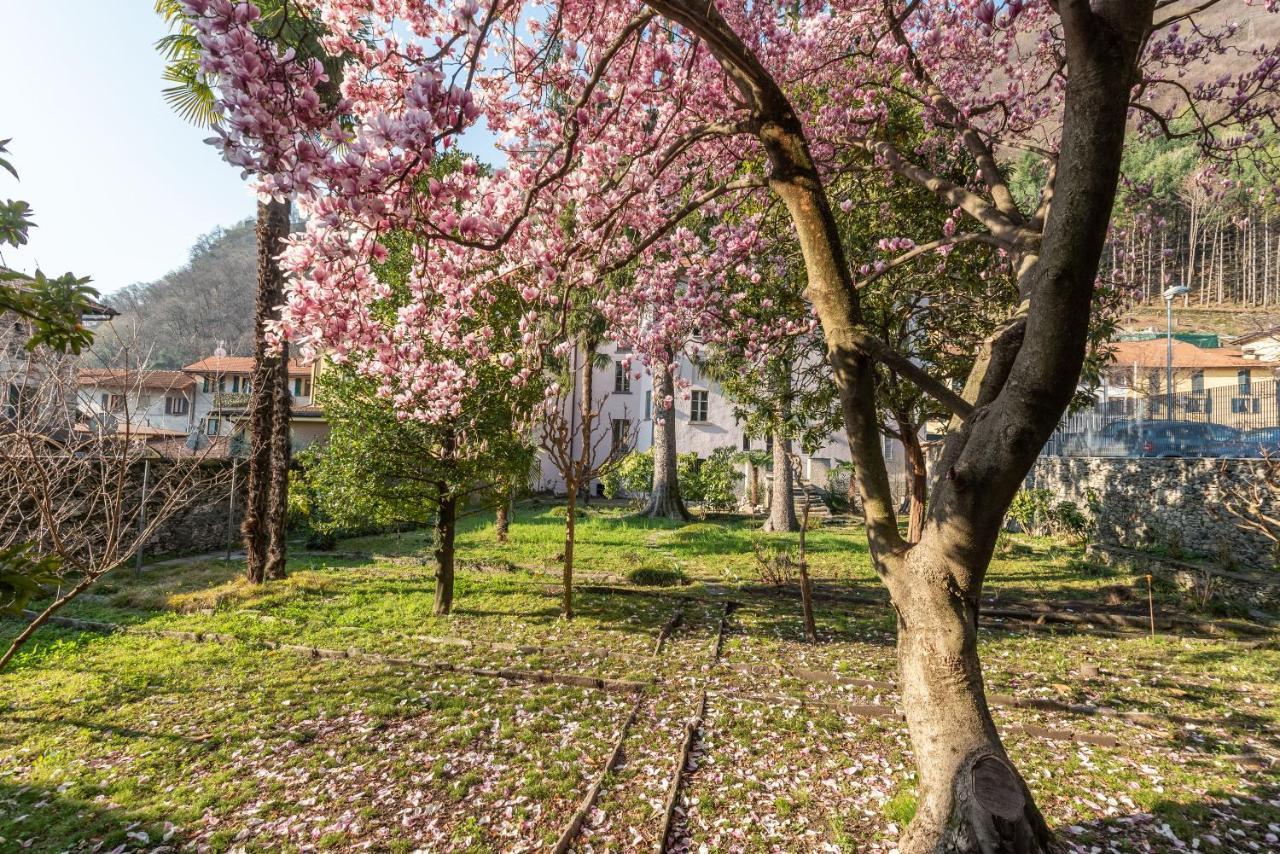 B&B Villa Rosalinda Dongo Zewnętrze zdjęcie