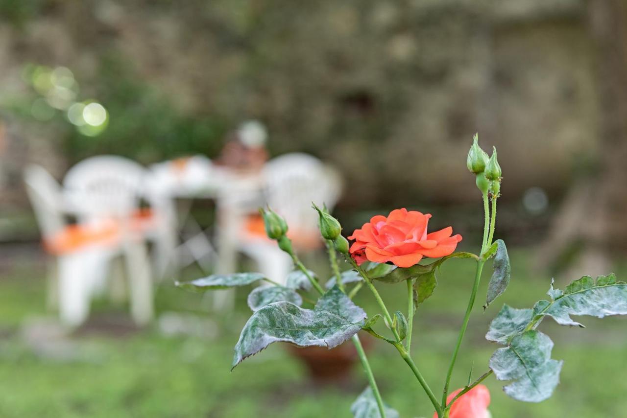 B&B Villa Rosalinda Dongo Zewnętrze zdjęcie